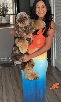 Runaway The Label Dress