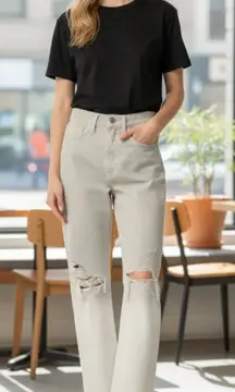 NWOT $225 HUDSON Women's Jade High Rise Straight, Loose Fit Jean  SZ-29