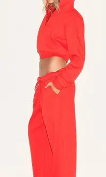 Skims RARE cotton fleece classic straight leg pant