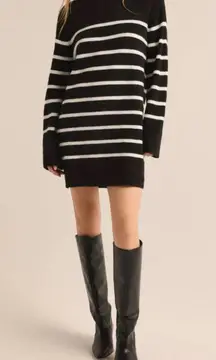 NWT Z Supply Fin Striped Sweater Dress Knee Length Long Sleeve Cozy Large L Soft