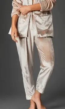 Habitual Champagne Velvet pleated ankle Pants Size‎ 8 Casual Dressy Trousers