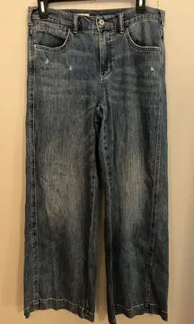 Pilcro Classic Denim Wide Leg Jeans