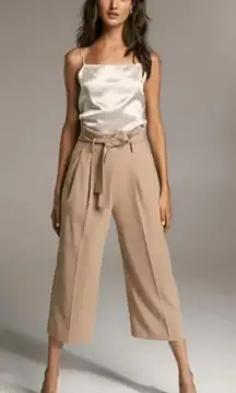 Aritizia Babaton Beige Tie‎ Waist Belt Wide Leg Cropped Culotte Trouser Pant 12