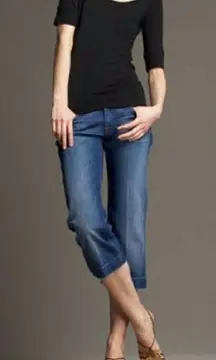 7 For All Mankind crop dojo