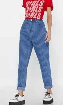 NWT  Pinstripe high waist mom jeans sz 6.