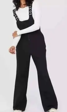 NWT Aerie Offline Chillside Snowboard Ski Pants Black Winter Outdoor Size M