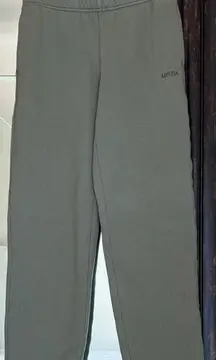 Aritzia Sweatfleece Cozy Fleece Mega Fit Sweatpants