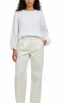 NWT Alex Mill Women's Dress Pants Size 2 Beige Double Pleat Twill Straight Leg