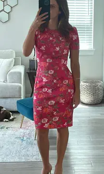 Calvin Klein Professional Dress