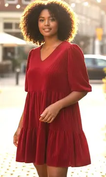 Velvet Burn Out Holiday Red Dress SZ 4X V Neck Short Sleeve Cinch Waist Boho