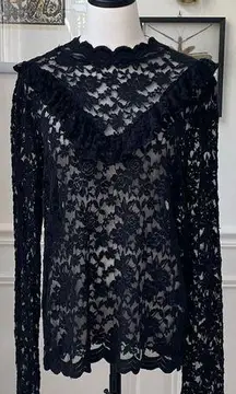 Ambiance Sheer Black Lace Victorian Style Sexy Top Whimsy Goth Mob Wife 3X