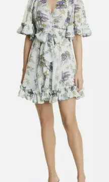 NWT ByTiMo Ruffle Chiffon Wallpaper Floral V-Neck Mini Dress