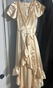 Francesca's  Champagne Maxi Dress