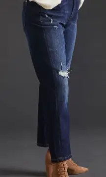 ANTHROPOLOGIE Pilcro The Borrowed Boyfriend Relaxed Tapered Leg Jean Size 29T