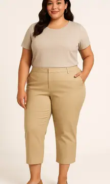 Classic Business Casual Neutral Beige Newport Slim Crop Pants Charter Club 16