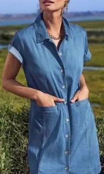 CAbi  Piece of Cake Denim Shirt Dress XS