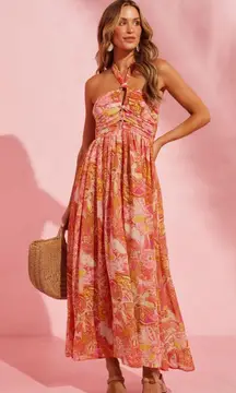 Impeccable Pig Maxi Dress 