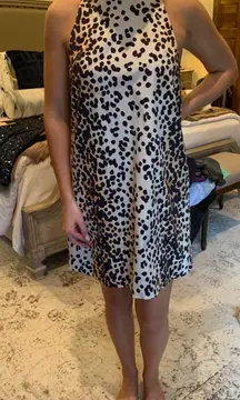 Tahlulah Leopard Dress