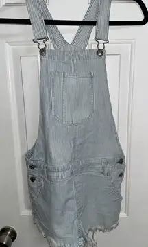 American Eagle Overall Shorts