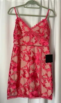 Pink and Nude Floral Lace Sheer Mini Dress Size Small
