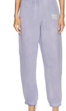 Alexander Wang Essential Puff Paint Logo Terry Sweatpant in Easter Egg