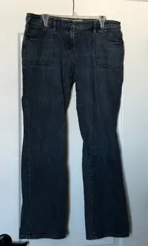 Ann Taylor Loft slim bootcut denim sz 12