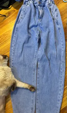 Zara Light Blue cinch waist.