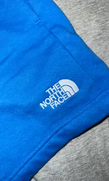 North Face Shorts 