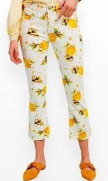 Pilcro Lemon Grove High-Rise Cropped Bootcut Jeans 29 P