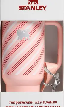 Stanley nwt Ornament Keychain Strawberry Cream Twist