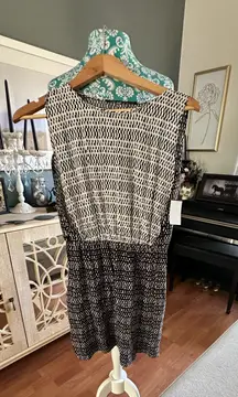 Zara basic knee length dress