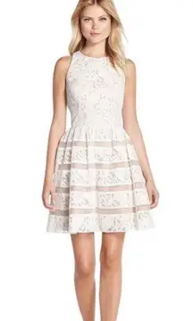 White & Nude Embroidered Lace Stripe Dress