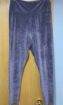 Danskin Purple Leopard Print Lounge Set - Size Medium