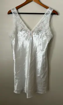 Vintage cottage core fairy nightgown 