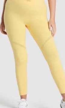 x Whitney Simmons- Mesh Leggings V3 Pollen Athletic Gym Workout