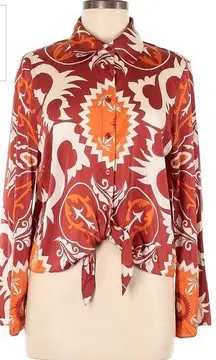 Rachel Zoe silky fall shirt