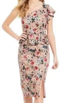 NWT  Danielle Floral Peplum Dress Sz 12