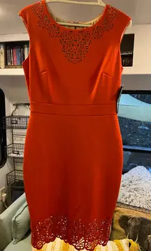 Women's Sangria Orange Laser Cut Sheath Dress Size 6