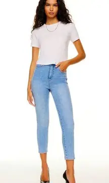 Aritzia Denim Forum Lola High Rise Skinny Crop Jeans​