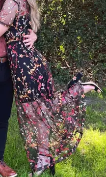 Immeasurable Joy Embroidered Mesh Maxi Dress