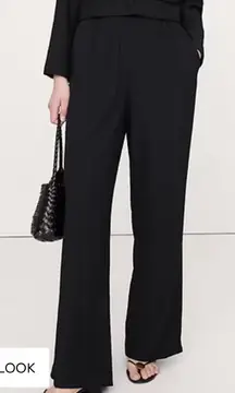 Banana Republic High Rise Wide Leg Pull On Crinkle Pant Women’s Sz L NWT