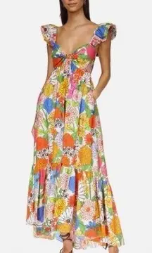 CARA CARA Ileana Dress in Happy Garden M