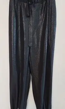 NWT Zara Basic PaperBag Pants Pull On High Waist Bow Tie Pants Size Medium.