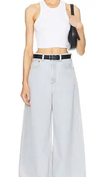 NWT Agolde Nolan Jean in Balloon‎ Size 31 Wide Leg Light Wash