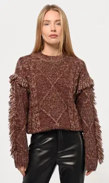 Anthropologie Greylin Doga Fringed Marled Sweater in Coffee L