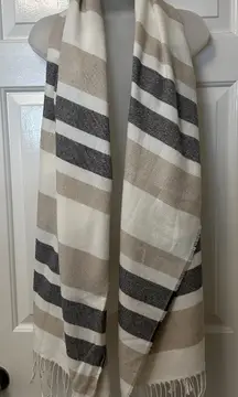 Banana Republic Neutral Striped Scarf