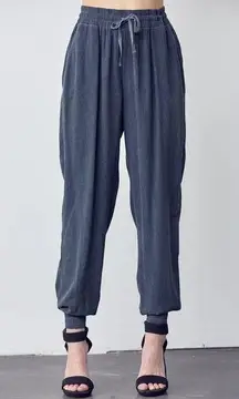 Maven West | Large | Silky Wash 100% Cupro Drawstring Jogger Pants in Gray