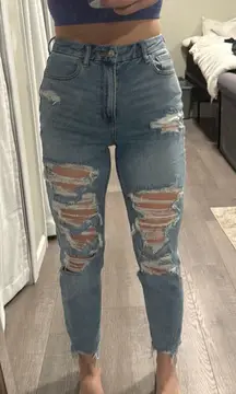 American Eagle Curvy Mom Jeans