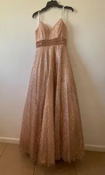 Rose Gold Dress