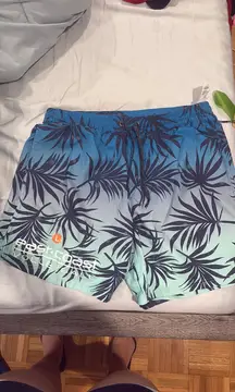 East coast volleyball shorts 